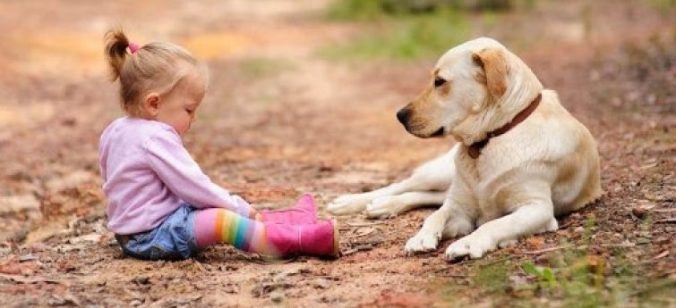 speling boeket Gelukkig 9 tips om peuters kennis te laten maken met je hond (en omgekeerd) -  Hondencentrum