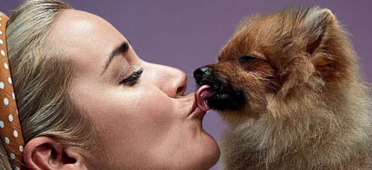 Is de mond van je hond schoner dan die van jou?