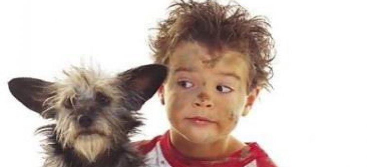 Kinderen en honden