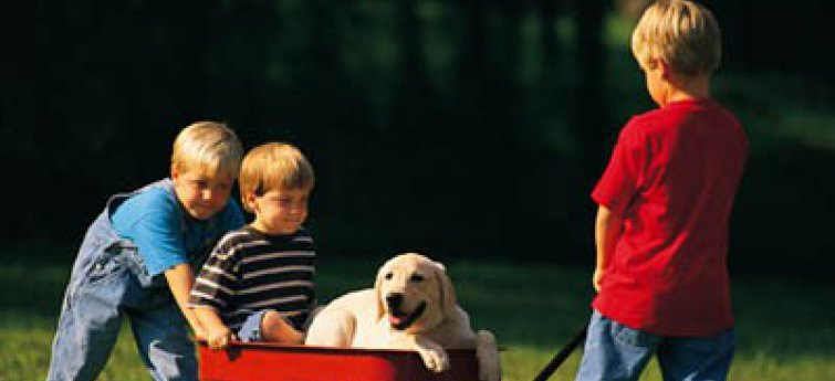 Kinderen en honden: enkele tips om veilig samen te leven