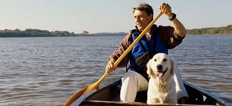 Op vakantie met de hond