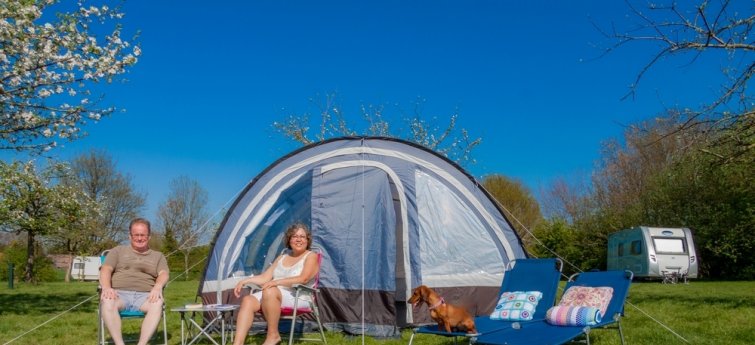 Camping limburg met hond