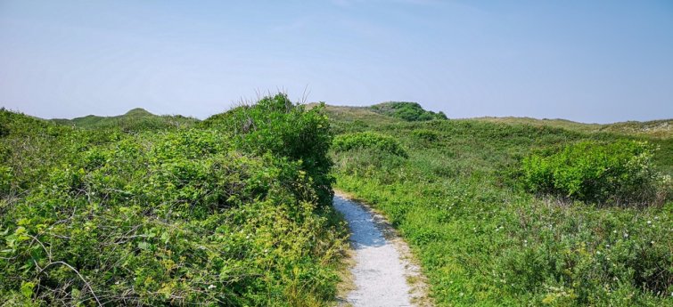 texel last minute met hond