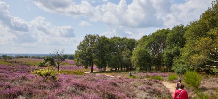 vakantie limburg met hond