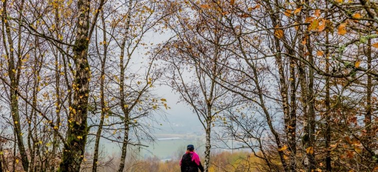 Vakantiehuis Ardennen met hond
