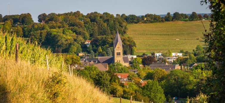 Vakantiehuis met hond limburg