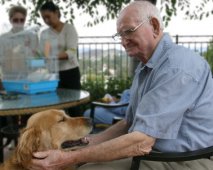 Honden met Alzheimer
