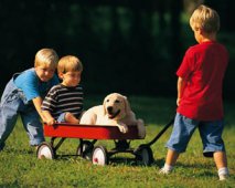 Kinderen en honden: enkele tips om veilig samen te leven