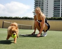 Spelen met je hond: Hondenspelletjes