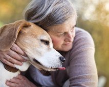 Acht wonderbaarlijke dingen die honden bij mensen kunnen “voelen”