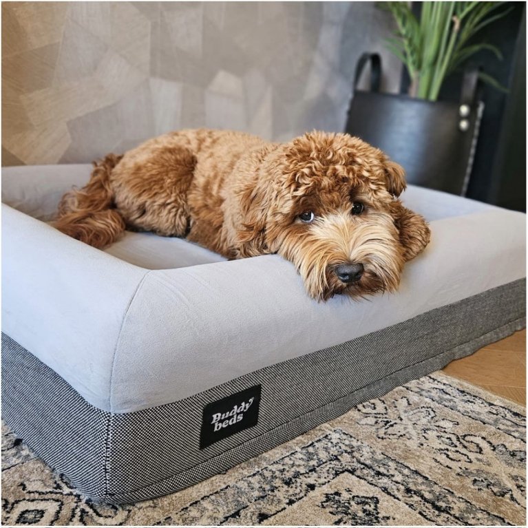 buddy beds hondenmand