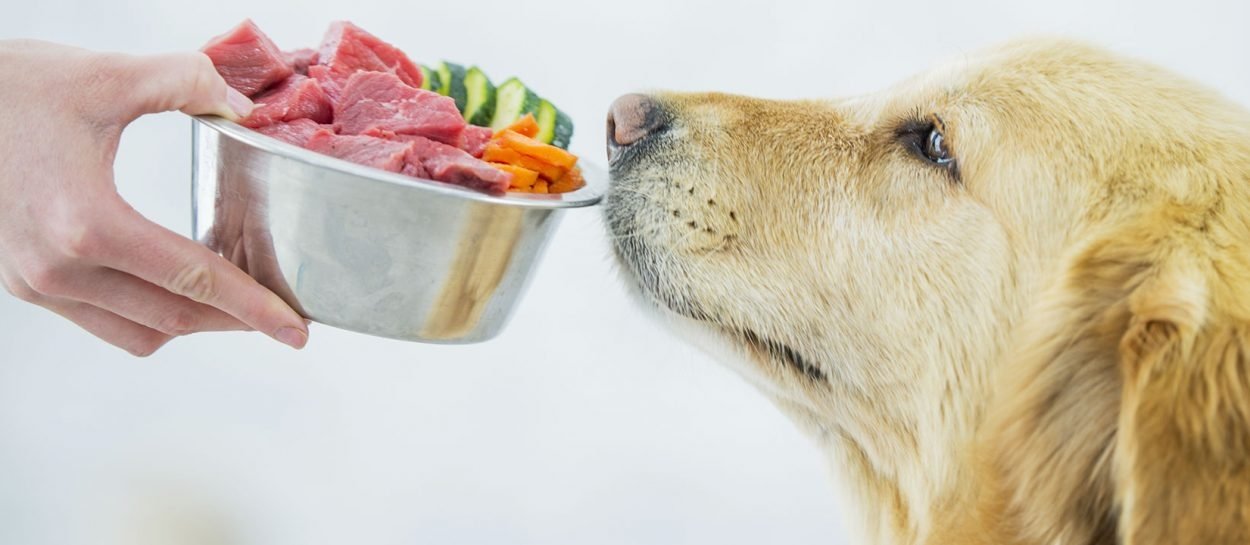 De natuurlijke voeding je hond Hondencentrum